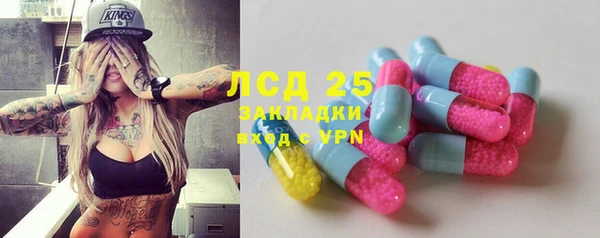 индика Белокуриха