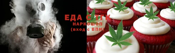 индика Белокуриха