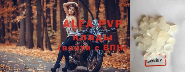 индика Белокуриха
